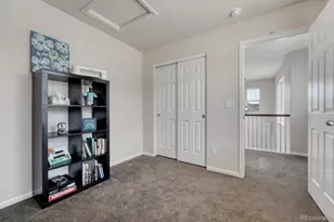 3793 Cadence Dr, Castle Rock, CO 80109 - Photo 34