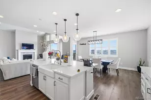 6700 Mentha Dr, Castle Rock, CO 80108 - Photo 8