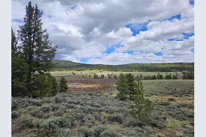 700 Looney Lane, Alma, CO 80420 - Photo 16