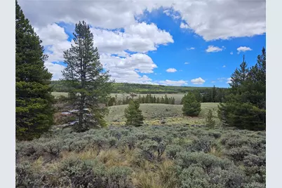 700 Looney Lane, Alma, CO 80420 - Photo 6