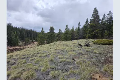 700 Looney Lane, Alma, CO 80420 - Photo 50