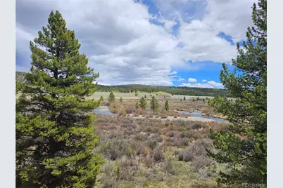700 Looney Lane, Alma, CO 80420 - Photo 28