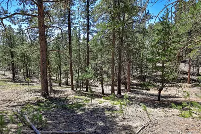 860 Spring Valley Drive, Divide, CO 80814 - Photo 6