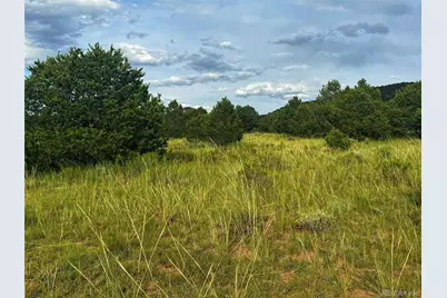 Lot 102 Cl&g Cc, Gardner, CO 81040 - Photo 20
