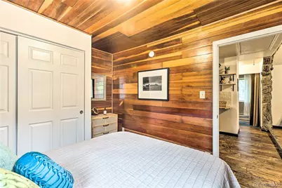 7559 S Turkey Creek Road, Morrison, CO 80465 - Photo 18