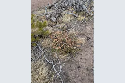 Lot 2296 Wohlstetter Loop, Fort Garland, CO 81133 - Photo 4