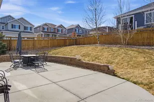 1315 Morningview Ln, Castle Rock, CO 80109 - Photo 34
