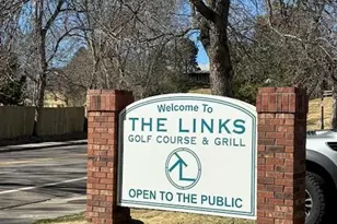 4 Shetland Ct, Highlands Ranch, CO 80130 - Photo 44