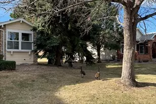 4 Shetland Ct, Highlands Ranch, CO 80130 - Photo 2