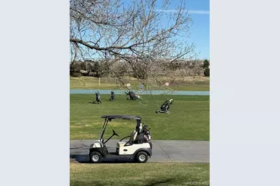 4 Shetland Court, Highlands Ranch, CO 80130 - Photo 46