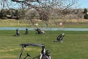 4 Shetland Ct, Highlands Ranch, CO 80130 - Photo 46