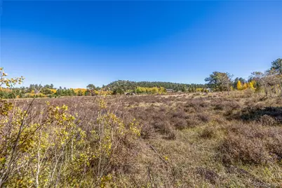 Lot 2A & 2B, Red Feather Lakes, CO 80545 - Photo 10