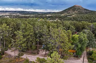 9273 Curtis Rd, Larkspur, CO 80118 - Photo 44