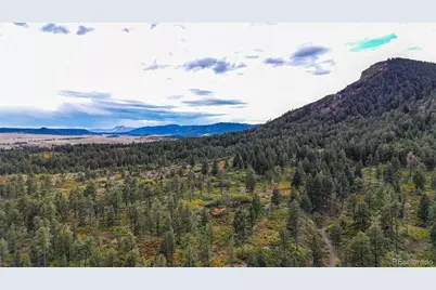 9273 Curtis Road, Larkspur, CO 80118 - Photo 42
