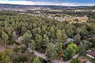 9273 Curtis Rd, Larkspur, CO 80118 - Photo 30