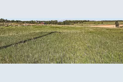 11584 E State Highway 86, Franktown, CO 80116 - Photo 12