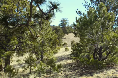 832 Ahlers Lane, Hartsel, CO 80449 - Photo 10