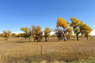 29100 Co Rd 183, Limon, CO 80828 - Photo 4