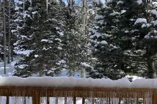 2842 Wendt Ln, Fort Garland, CO 81133 - Photo 28