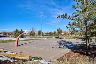 9283 Twenty Mile Road, Parker, CO 80134 - Photo 34