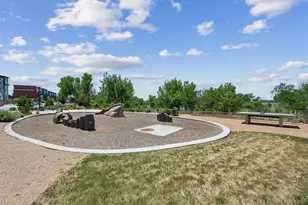 9283 Twenty Mile Road, Parker, CO 80134 - Photo 24