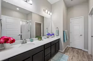 9283 Twenty Mile Road, Parker, CO 80134 - Photo 18