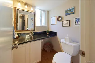 1151 W English Sparrow Trail, Highlands Ranch, CO 80129 - Photo 14