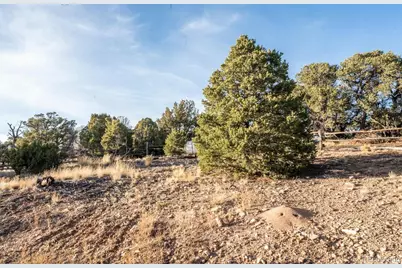 1950 Cr 510, Walsenburg, CO 81089 - Photo 48