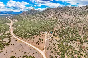 1350 Mitchell Mountain Rd, Westcliffe, CO 81252 - Photo 50