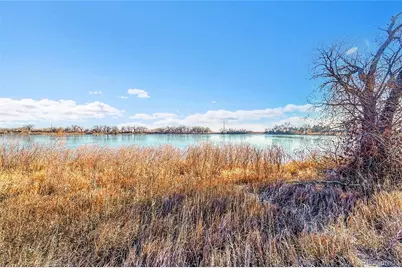 2972 Purgatory Creek Drive, Loveland, CO 80538 - Photo 34