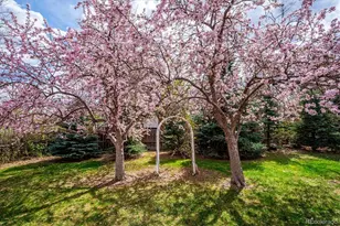 7937 W Chestnut Dr, Littleton, CO 80128 - Photo 30