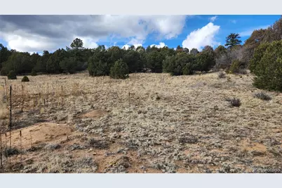 47 White Cloud Drive, Cotopaxi, CO 81223 - Photo 22