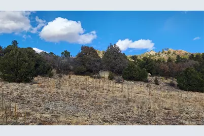 47 White Cloud Drive, Cotopaxi, CO 81223 - Photo 6