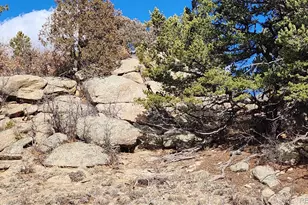 47 White Cloud Dr, Cotopaxi, CO 81223 - Photo 1