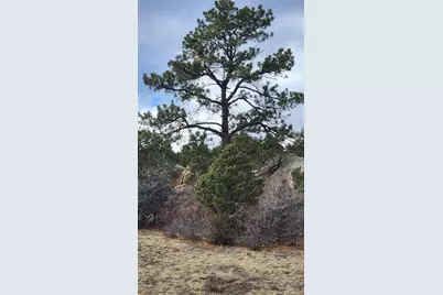 47 White Cloud Drive, Cotopaxi, CO 81223 - Photo 30