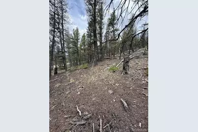 2689 Redhill Road, Fairplay, CO 80440 - Photo 16