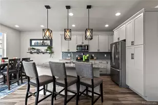 11545 Dewey St, Parker, CO 80138 - Photo 20