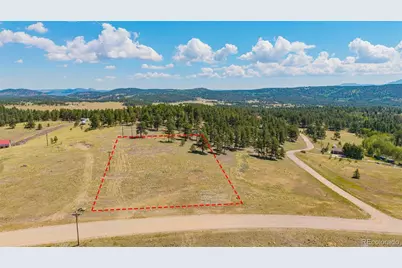 014 County Rd 403, Florissant, CO 80816 - Photo 1