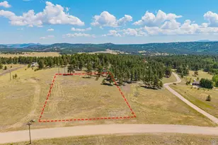 014 County Rd 403, Florissant, CO 80816 - Photo 1