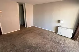 888 N Logan Street, Denver, CO 80203 - Photo 10