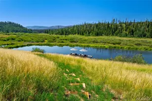 17850 Co Rd 16, Oak Creek, CO 80467 - Photo 6