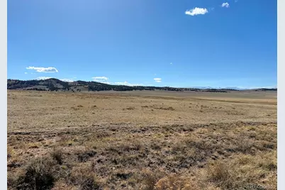 0000 Chickasaw Road, Hartsel, CO 80449 - Photo 4