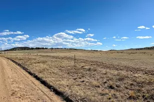0000 Chickasaw Rd, Hartsel, CO 80449 - Photo 1
