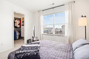 90 Falmouth St, Castle Rock, CO 80104 - Photo 30