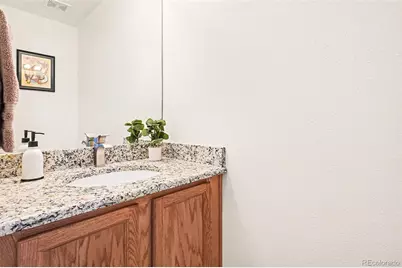 90 Falmouth Street, Castle Rock, CO 80104 - Photo 26