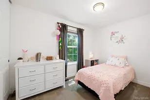 12646 Hazel St, Broomfield, CO 80020 - Photo 12