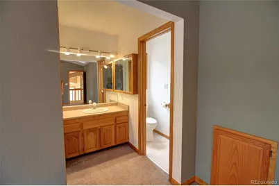 850 Hangmans Road, Bailey, CO 80421 - Photo 16