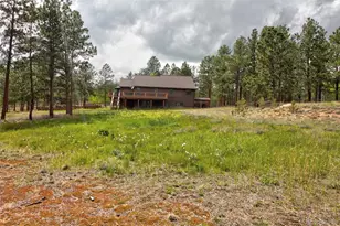850 Hangmans Rd, Bailey, CO 80421 - Photo 38