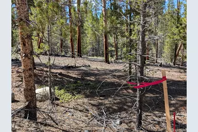 495 Birch Drive, Twin Lakes, CO 81251 - Photo 2