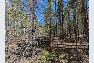 495 Birch Drive, Twin Lakes, CO 81251 - Photo 4